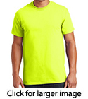 Gildan 100% Cotton T Short Sleeve